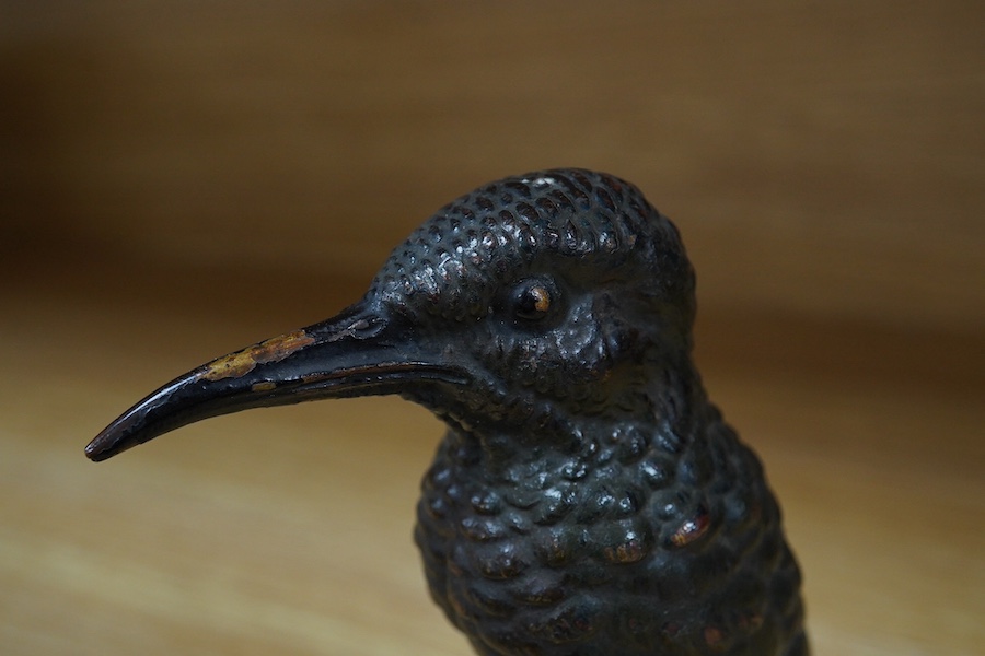 A cold painted bronze car mascot in the form of a kingfisher mounted on a circular socle, 12.5cm high. Condition - fair.